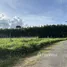  Land for sale in Wang Maprang Nuea, Trang, Wang Maprang Nuea