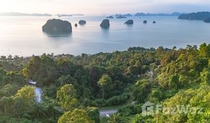 N/A Grundstück zu verkaufen in Khao Thong, Krabi 