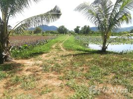  Grundstück zu verkaufen in Thalang, Phuket, Si Sunthon