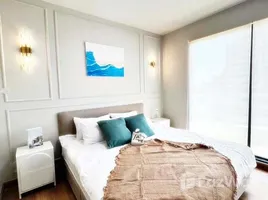 อพาร์ทเม้นท์ 1 ห้องนอน ให้เช่า ในโครงการ ศุภาลัย คาซ่า ริวา, บางคอแหลม, บางคอแหลม, กรุงเทพมหานคร, ไทย