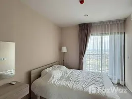 คอนโด 1 ห้องนอน ให้เช่า ในโครงการ แอสปาย เอราวัณ ไพร์ม, ปากน้ำ