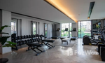 Communal Gym at The Reserve 61 Hideaway
