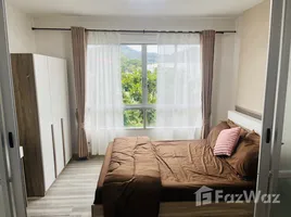 1 Bedroom Condo for rent at D Condo Kathu-Patong, Kathu