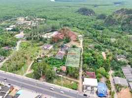 ขายที่ดิน ใน ไสไทย, กระบี่, ไสไทย