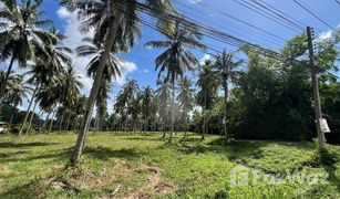 N/A Land for sale in Na Mueang, Koh Samui 