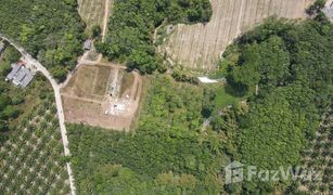 N/A Land for sale in Na Toei, Phangnga 