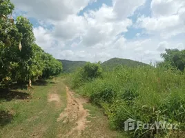 ขายที่ดิน ใน หนองตาแต้ม, หัวหิน, หนองตาแต้ม, ปราณบุรี, ประจวบคีรีขันธ์