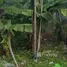  Terreno (Parcela) en venta en Sekotong Tengah, Lombok, Sekotong Tengah