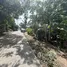  Terreno (Parcela) en venta en Maret, Surat Thani, Maret, Koh Samui, Surat Thani, Tailandia