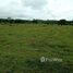  Land for sale in Nan, Thung Chang, Thung Chang, Nan