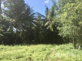  Земельный участок for sale in Мае Нам, Сураттани, Мае Нам, Самуи