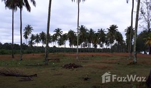 Земельный участок, N/A на продажу в Sao Phao, Nakhon Si Thammarat 