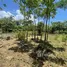 Terrain à vendre à Puerto Plata, San Felipe De Puerto Plata