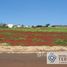  Terrain for sale in Fernando De Noronha, Rio Grande do Norte, Fernando De Noronha, Fernando De Noronha