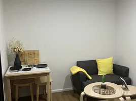 คอนโด 1 ห้องนอน ให้เช่า ในโครงการ เอ ไลฟ์ สุขุมวิท 76, สำโรง, พระประแดง