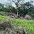  Terreno (Parcela) en venta en Costa Rica, Mora, San José, Costa Rica