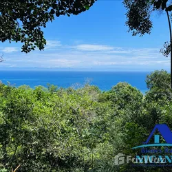 Solar en Puerto Plata, foto 5