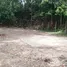  Terreno (Parcela) en venta en Phuket, Choeng Thale, Thalang, Phuket