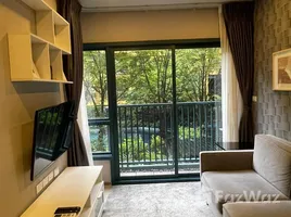 2 спален Кондо в аренду в The BASE Sukhumvit 50, Phra Khanong