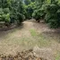  Land for sale in Thailand, Tha Tum, Pa Sang, Lamphun, Thailand