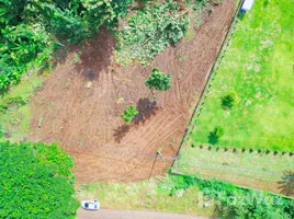  Terrain for sale in Chiang Dao, Chiang Mai, Ping Khong, Chiang Dao