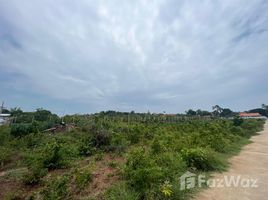  Land for sale in Surat Thani, Bo Phut, Koh Samui, Surat Thani