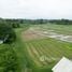  Terrain for sale in Doi Saket, Chiang Mai, Luang Nuea, Doi Saket