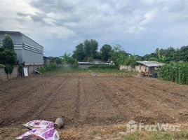  Land for sale in Chiang Mai International Airport, Suthep, Pa Daet