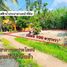  Земельный участок for sale in Nong Taphan, Районг, Nong Taphan