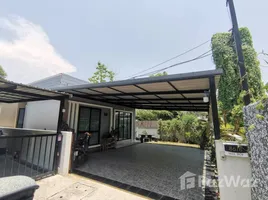 3 Bedroom House for rent in San Klang, Chiang Mai, San Klang, San Kamphaeng, Chiang Mai, Thailand