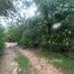  Земельный участок for sale in Бопхут, Сураттани, Бопхут