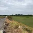 在Concepcion, Tarlac出售的 土地, Concepcion