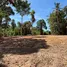 ขายที่ดิน ใน ตลิ่งงาม, สุราษฎร์ธานี, ตลิ่งงาม, เกาะสมุย, สุราษฎร์ธานี