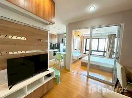 คอนโด 1 ห้องนอน ให้เช่า ในโครงการ พลัส คอนโด หาดใหญ่ 2, เทศบาลนครหาดใหญ่, หาดใหญ่, สงขลา