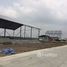  Земельный участок на продажу в Pinthongland Factory Village, Lahan