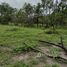  Land for sale in Brazil, Silves, Amazonas, Brazil