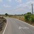  Land for sale in Yasothon, Kut Hae, Loeng Nok Tha, Yasothon