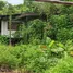  Земельный участок for sale in Pa Pong, Чианг Маи, Pa Pong, Дои Сакет