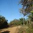  Terrain for sale in Guanacaste, Nicoya, Guanacaste