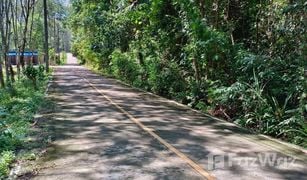 N/A Land for sale in Ko Yao Noi, Phangnga 