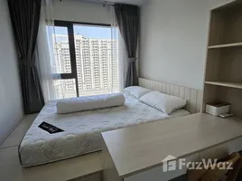 คอนโด 1 ห้องนอน ให้เช่า ในโครงการ ไลฟ์ อโศก ไฮป์, มักกะสัน