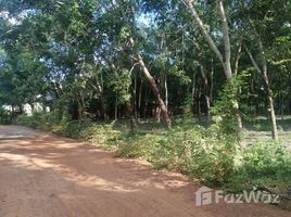 N/A Đất bán ở Cẩm Giàng, Tây Ninh Land for Sale in Go Dau