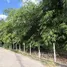 Land for sale in Hua Hin City, Hua Hin, Hua Hin City