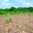  Land for sale in Thailand, Nong Phue, Tha Li, Loei, Thailand