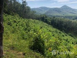  Terrain for sale in Phangnga, Mueang Phangnga, Phangnga