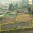  Terreno (Parcela) en venta en Sukasada, Buleleng, Sukasada