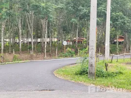  Grundstück zu verkaufen in Thalang, Phuket, Thep Krasattri