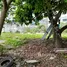  Terreno (Parcela) en venta en Tuba, Cordillera, Tuba, Benguet, Cordillera