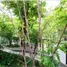 1 Bedroom Condo for rent at Taka Haus, Khlong Tan Nuea