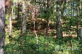  bedroom Land for sale at in Francisco Morazan, Honduras